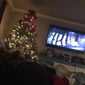 Meet your Posher, Bo